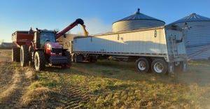 truck being loaded with harvested grain