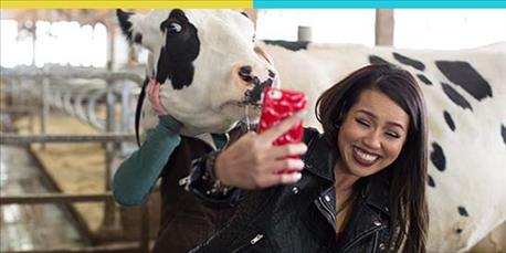 christine-barnum-cow-selfie.jpg