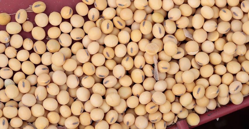 Soybeans Soybeans
