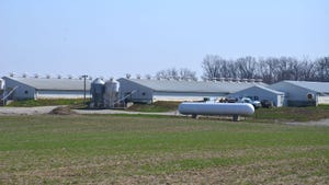 A hog farm with feed bins and tanks behind an open crop field   