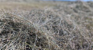 brad-haire-farm-hay-2021-4-a.jpg