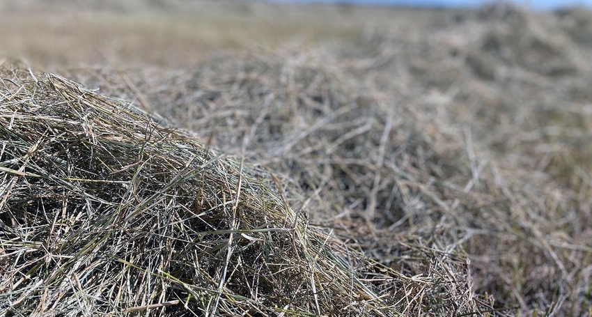 brad-haire-farm-hay-2021-4-a.jpg brad-haire-farm-hay-2021-4-a.jpg