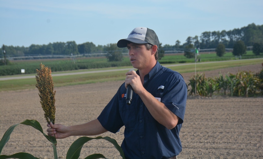 John_Hart_Farm_Press_Rick_Boyles_Clemson_Grain_Sorghum.jpg John_Hart_Farm_Press_Rick_Boyles_Clemson_Grain_Sorghum.jpg