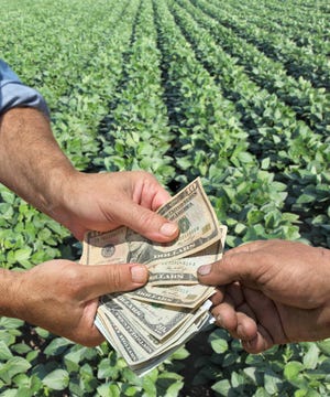 money in soybean field Simazoran gettyimages.jpg