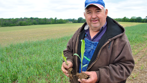 Farmer Dave Brandt standing in field holding corn plants
