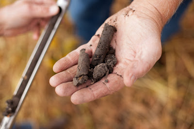 soil test