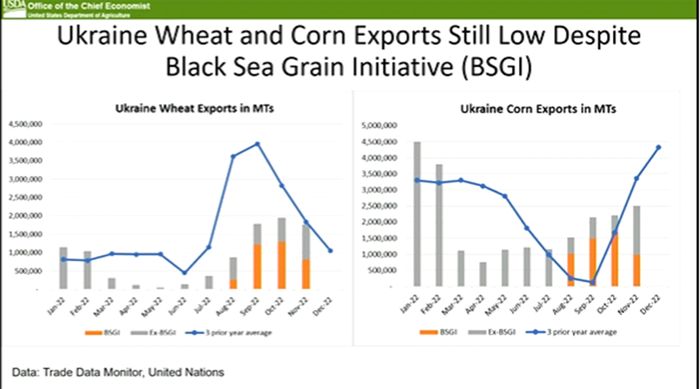 Ukraine wheat and corn exports still low despite Black Sea Grain Initiative