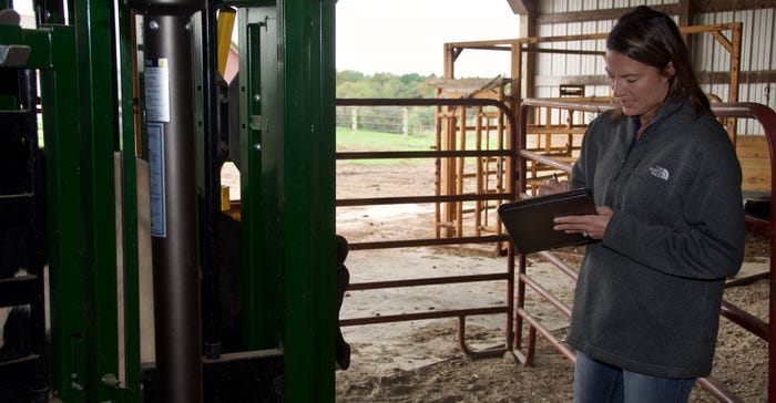 Shannon Eldrige in her cattle barn