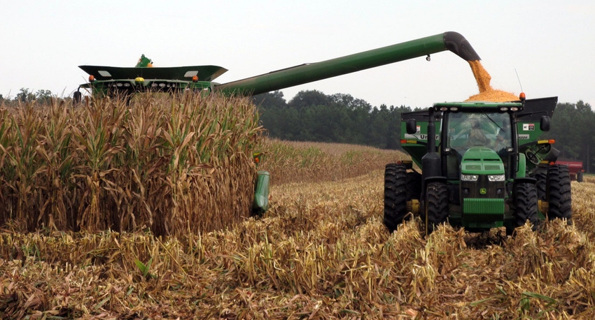 corn-harvest-haire-unload-2-a.jpg corn-harvest-haire-unload-2-a.jpg