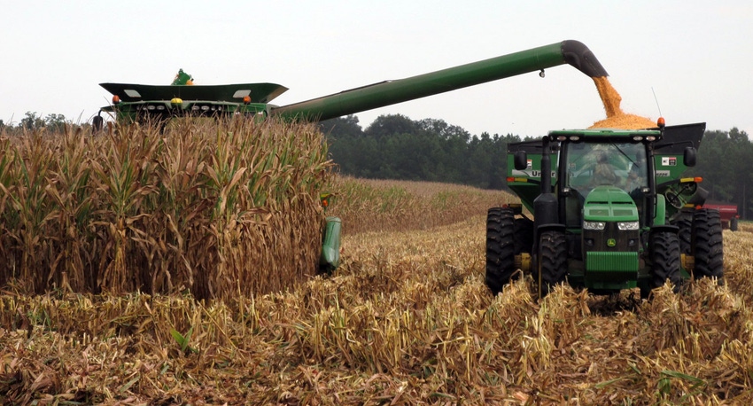 corn-harvest-haire-unload-2-a.jpg