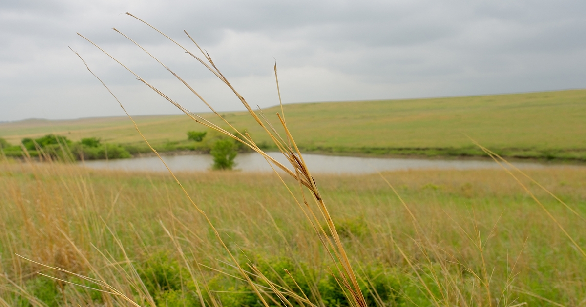 Kansas land values steady
