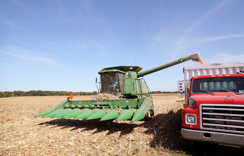 corn harvestjpg - Copy.jpg corn harvestjpg - Copy.jpg