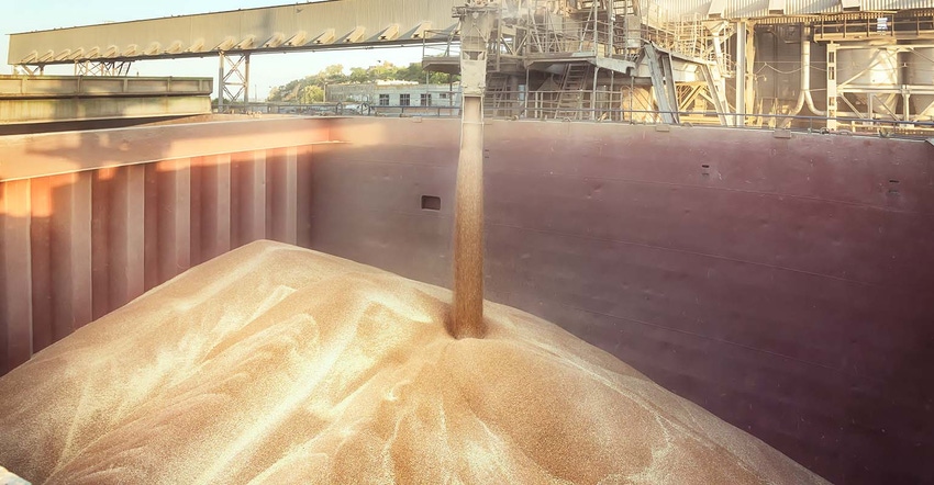 filling ship hold with wheat filling ship hold with wheat