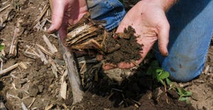 A close up of men's hands holding a mound of soil