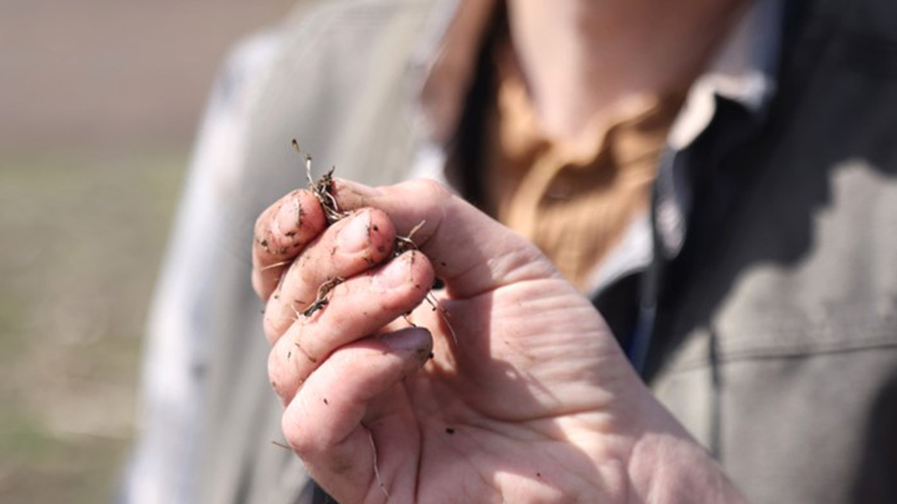 System optimization mindset moves the farm