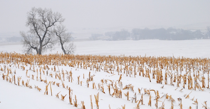 Snow covered pasture Snow covered pasture