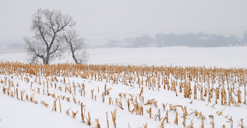 Snow covered pasture