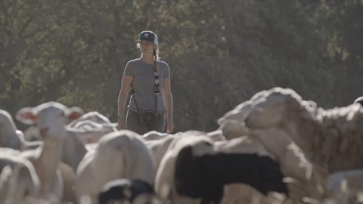 Farmers use AI to revolutionize ag logistics