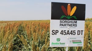 Sorghum Partners sign in front of sorghum field