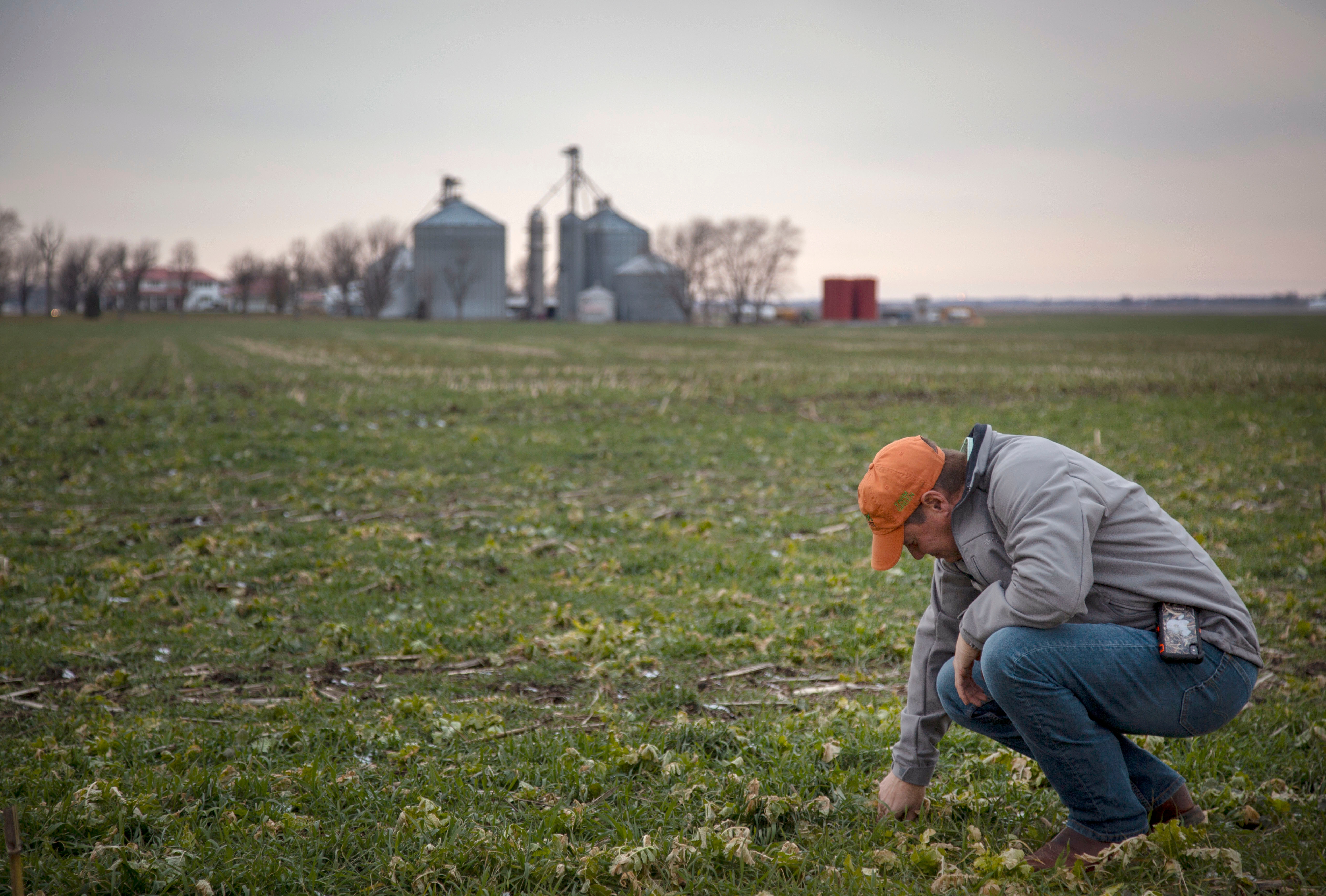 Clark Family Farms