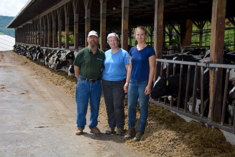 The Youngs with Holsteins at the barn