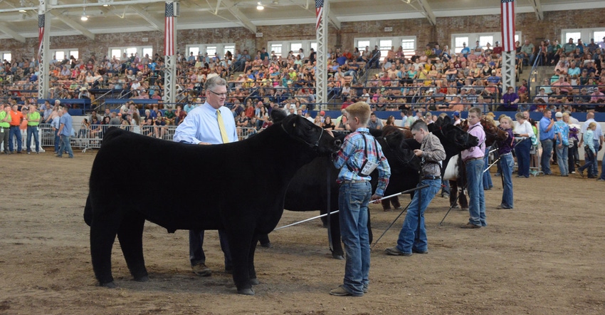 Kids show livestock at Illinois State Fair