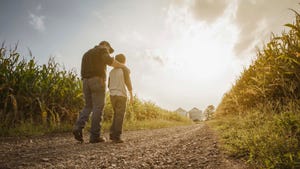 Father and son walking in corn field
