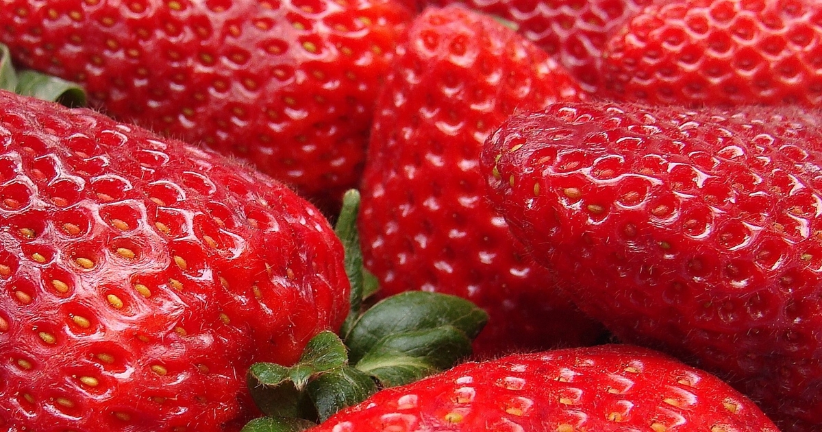 Study: Strawberry consumption helps older adults