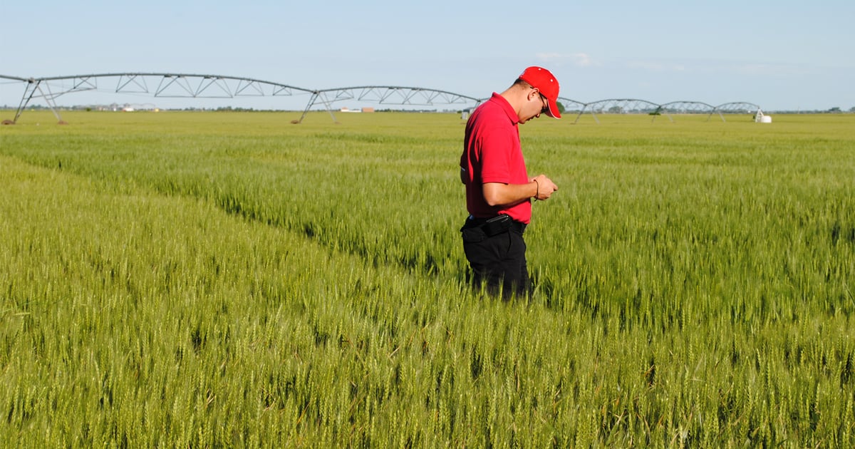 Haskell Ag Lab sets family field day