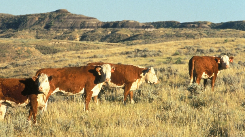Montana ranch