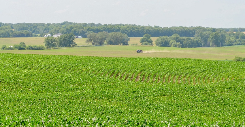 A wide landscape of a corn field with sprayer in the distance