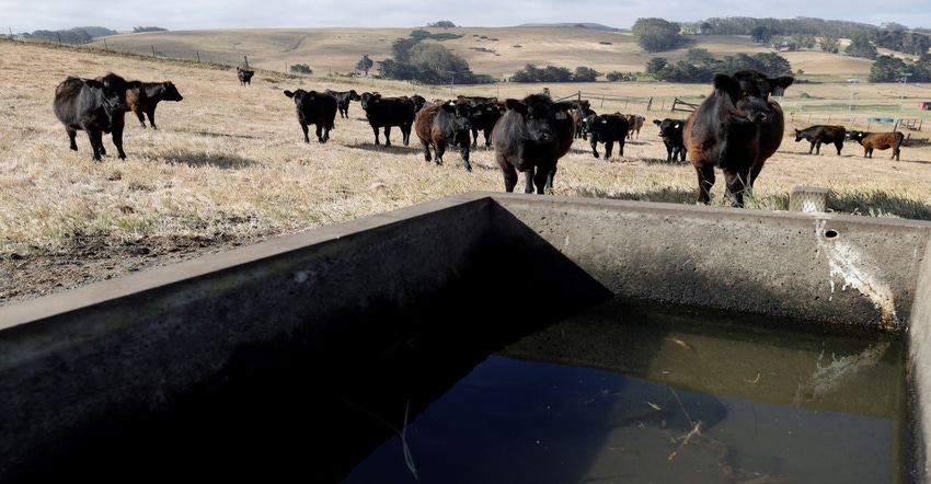 5-16-22 drought and cattle GettyImages-1322550150.jpg 5-16-22 drought and cattle GettyImages-1322550150.jpg
