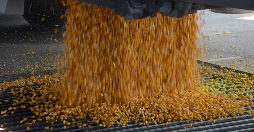 grain coming out of a grain chute