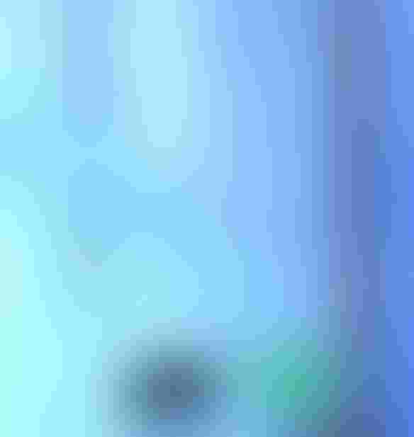 0121H-2202B-584x1130.jpg 0121H-2202B-584x1130.jpg
