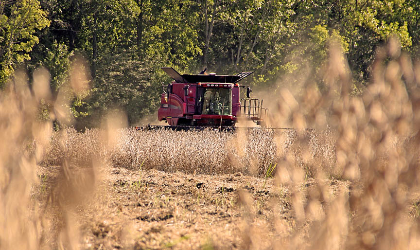 Growing a legacy: P.E.I. farmer plants barley named for late brother