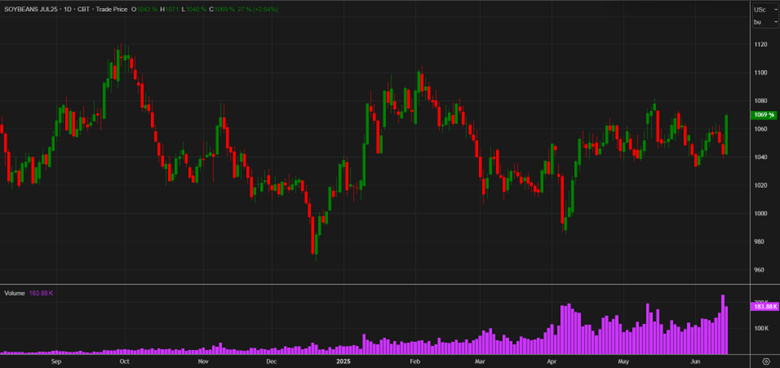 JULY SOYBEANS