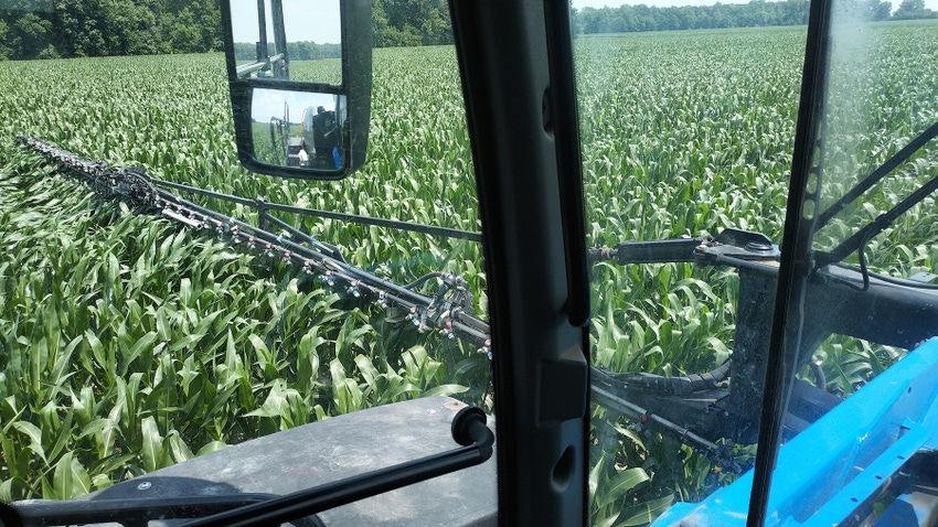 View from sprayer in corn field