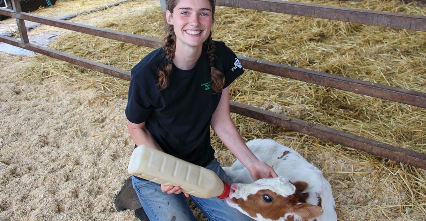 Montana Stump, a senior at Delaware Valley University, bottle feeds a calf