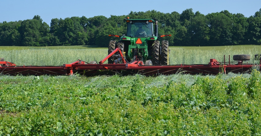 roller-crimping cover crops