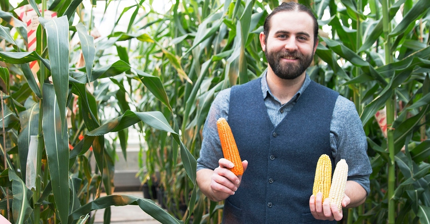 Evan Rocheford holds ears of corn Evan Rocheford holds ears of corn