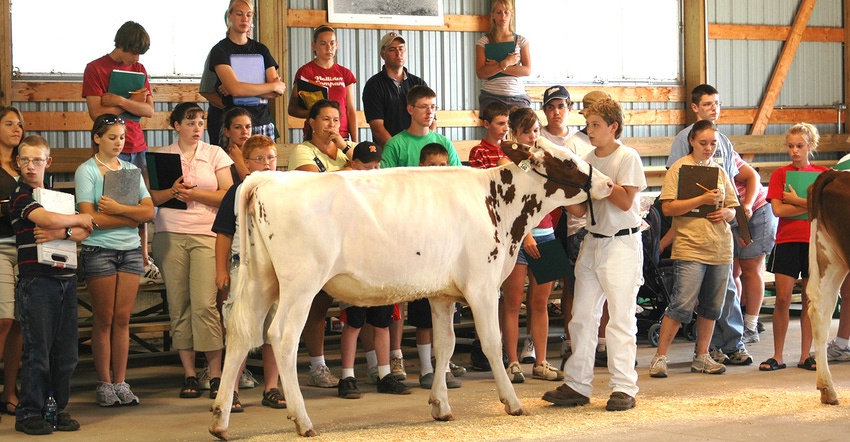 FFA members gathered around young Holstein 