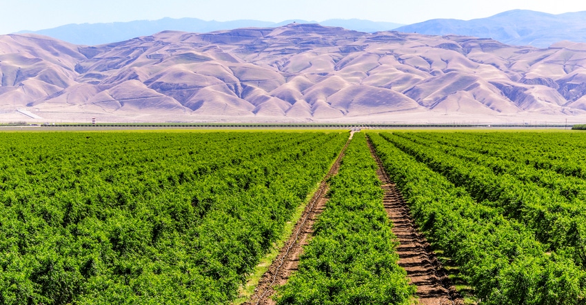 WFP_Todd_Fitchette_Almonds-1523.jpg WFP_Todd_Fitchette_Almonds-1523.jpg
