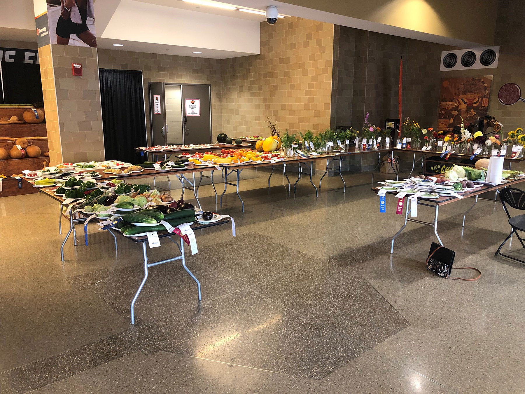 tables holding gardening exhibits inside a room