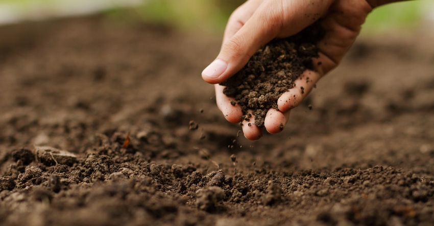 Hand checking soil on ground Hand checking soil on ground