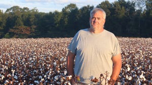 Cotton varieties that make life easier
