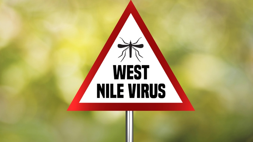 West Nile virus sign