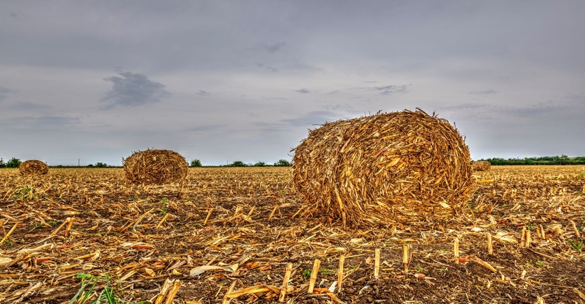 11-17-22 corn stalk round balesGettyImages-491376314 (1).jpg 11-17-22 corn stalk round balesGettyImages-491376314 (1).jpg