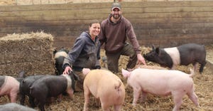 Emily and Tim Zweber with their pigs