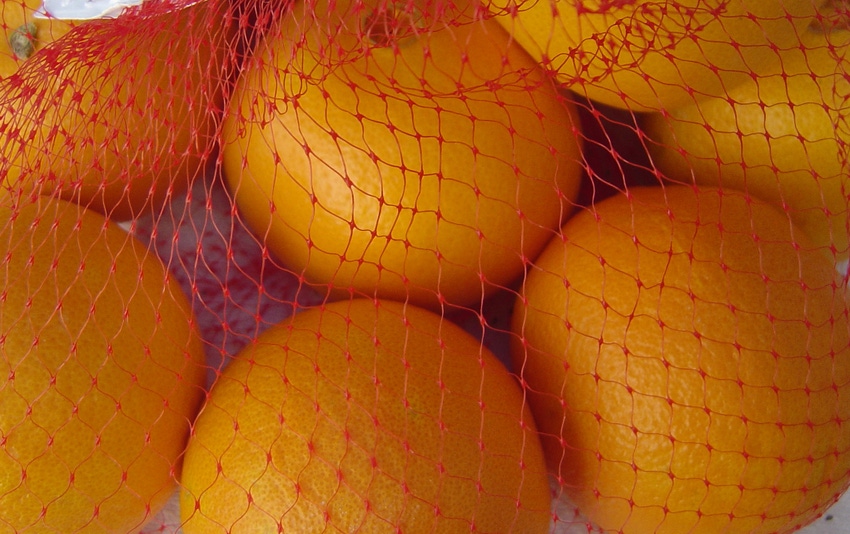 WFP-tim-hearden-oranges1.jpg WFP-tim-hearden-oranges1.jpg