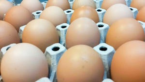 Egg checkoff brings returns
